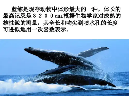 一次函数的简单应用(1)[下学期]  浙教版