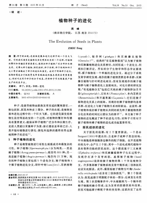 植物种子的进化
