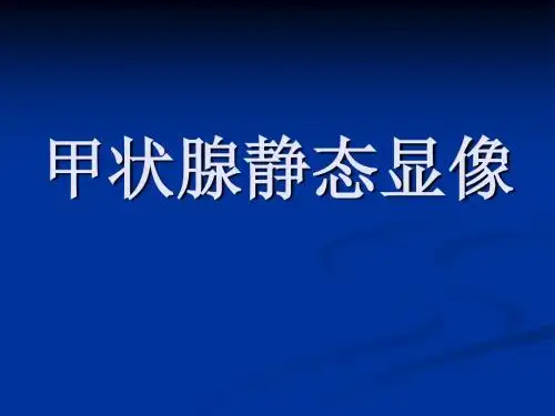 内分泌系统