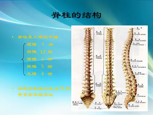 颈椎病课件PPT课件
