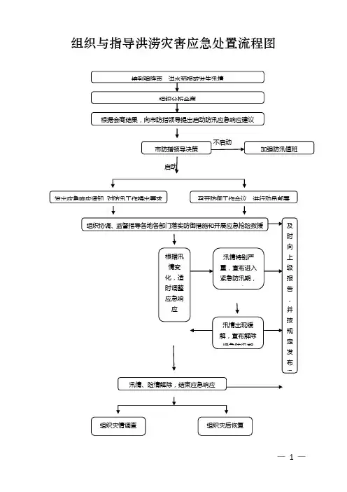 组织与指导洪涝灾害应急处置流程图