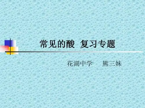 常见的酸  复习专题