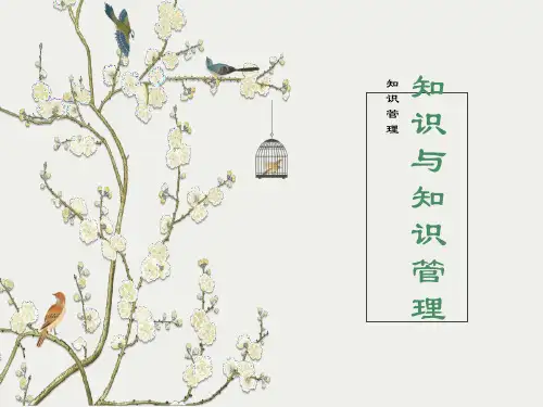 知识与知识管理介绍