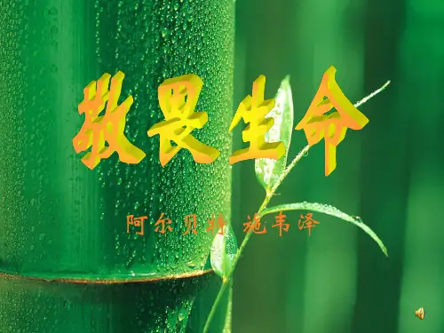 大学语文 敬畏生命