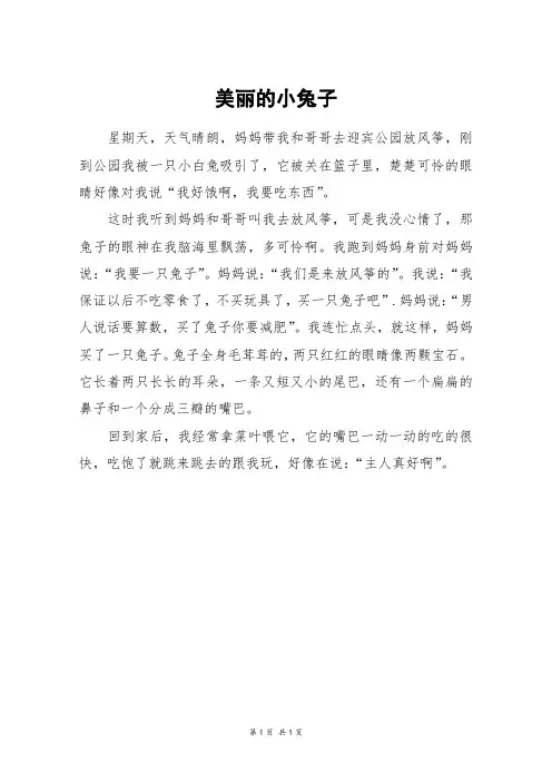 美丽的小兔子_二年级作文