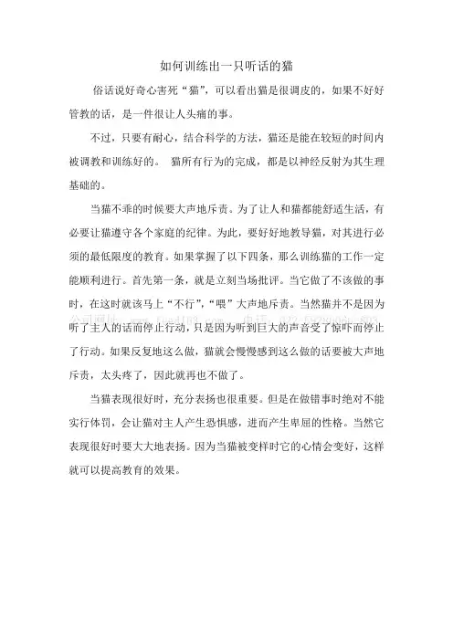 如何训练出一只听话的猫