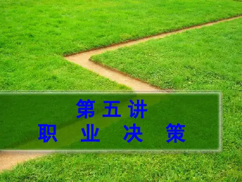 第五讲 职业决策