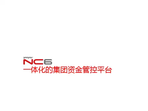 一体化的集团资金管控平台(PPT 48张)