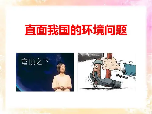 《直面我国的环境问题》共同面对前所未有的挑战教材课件ppt