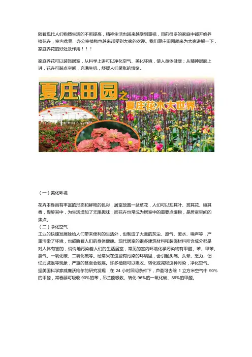 家庭养花的好处及作用    来源：夏庄田园