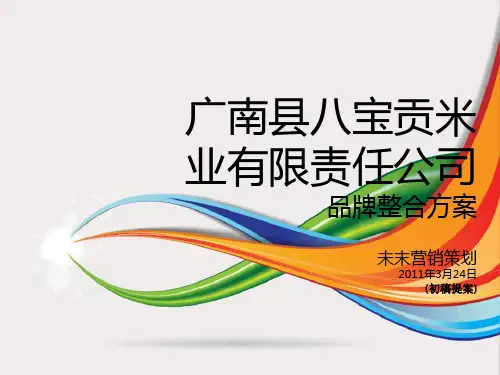 某公司大米品牌策划方案