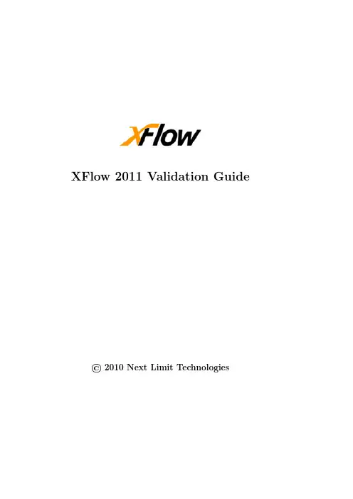 XFlow2011_验证考题报告-ValidationGuide