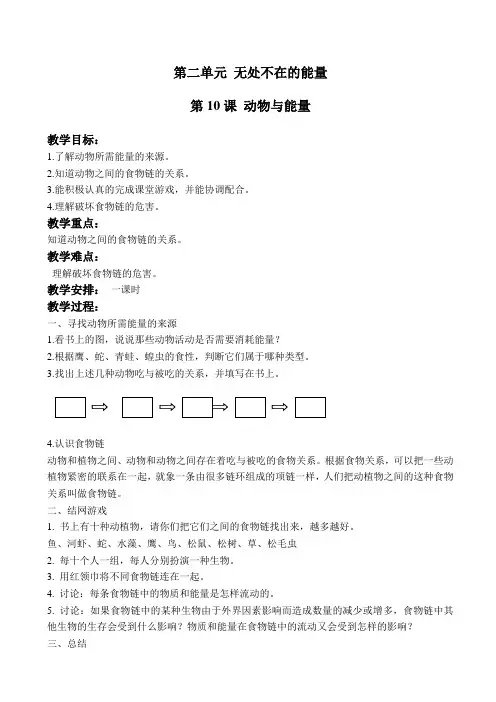 冀教版小学科学六年级上册《10动物与能量》教案