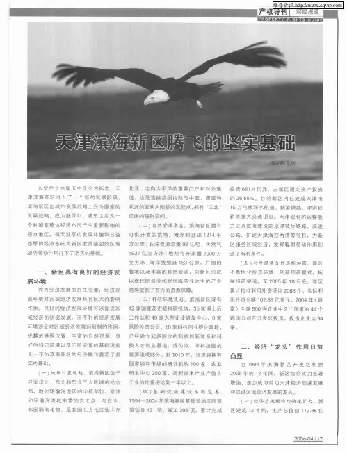 天津滨海新区腾飞的坚实基础