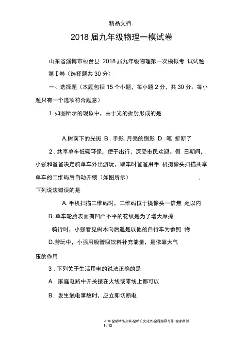 2018届九年级物理一模试卷