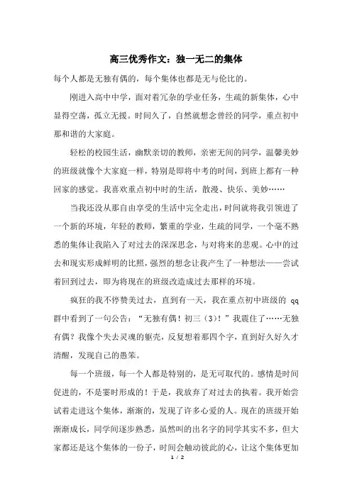 高三优秀作文：独一无二的集体