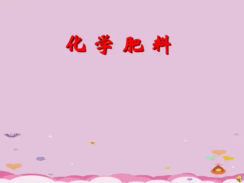 化学与农业生产PPT课件4 鲁教版