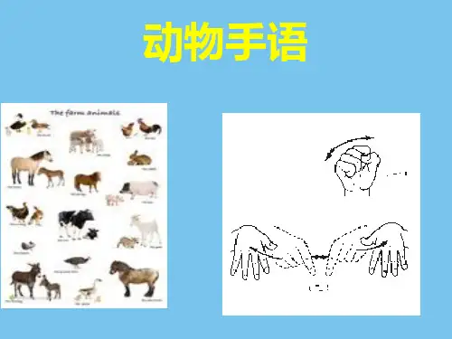 常见动物手语教学.ppt