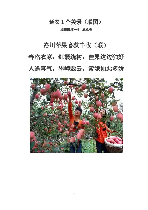 延安1个美景(联图)