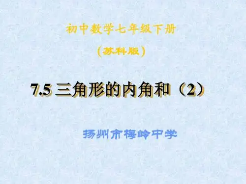 7.5三角形的内角和(2)