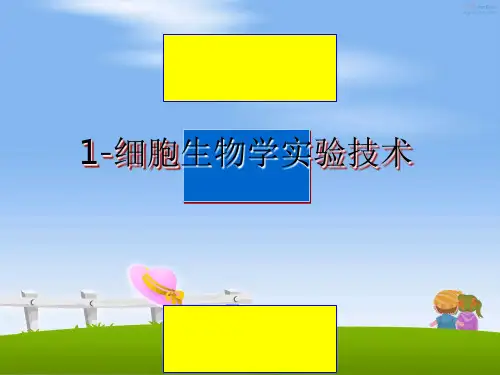 最新1-细胞生物学实验技术