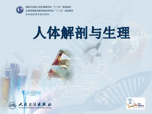第12章 人体的基本生理功能