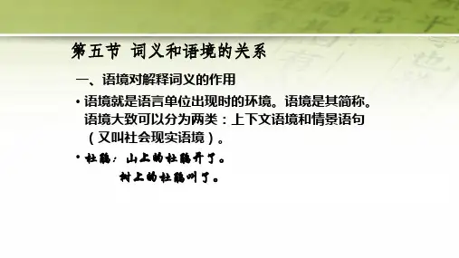 现代汉语  词义和语境的关系