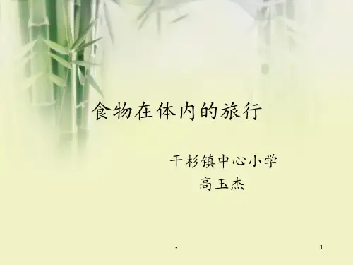 食物在体内的旅行说稿PPT课件