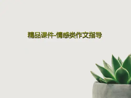 精品课件-情感类作文指导共20页文档