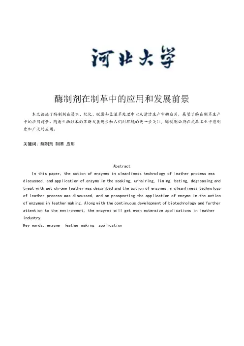 酶制剂在制革中的应用和发展前景