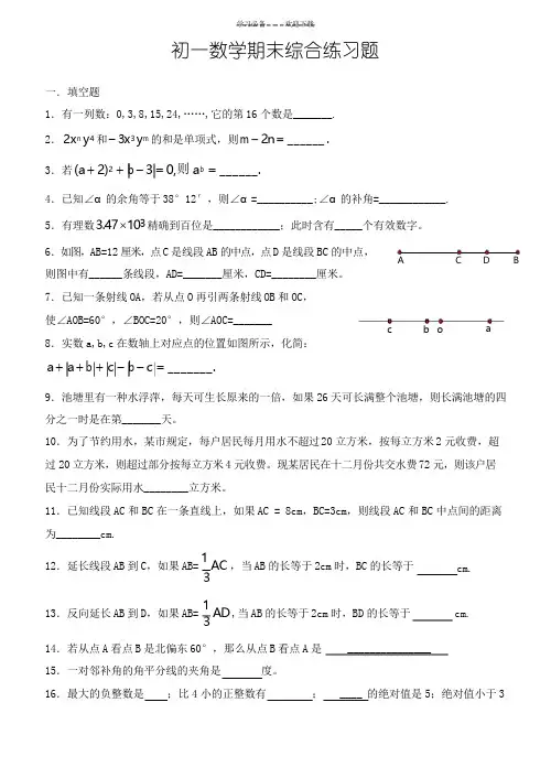 初一数学期末综合练习题