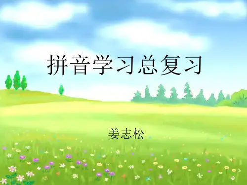 拼音总复习