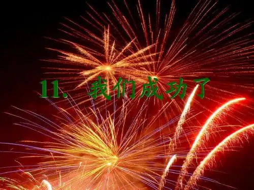 《我们成功了》