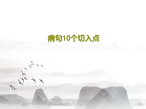 病句10个切入点共20页