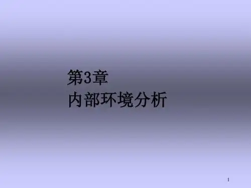 第3章 内部环境分析n