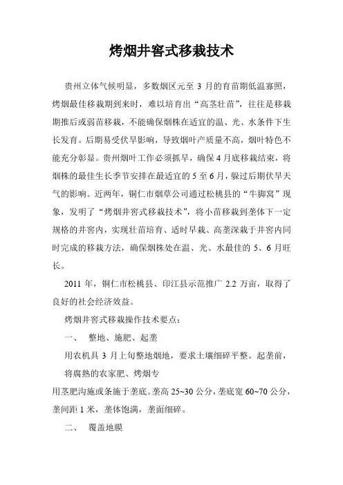 井窖式移栽技术