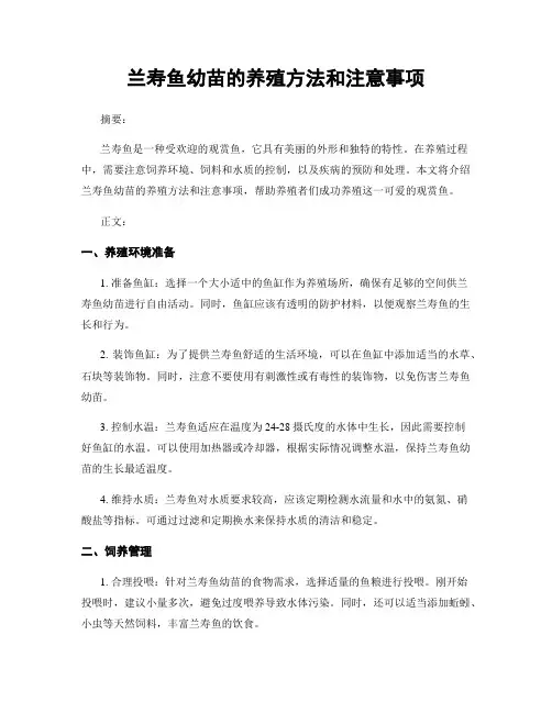兰寿鱼幼苗的养殖方法和注意事项
