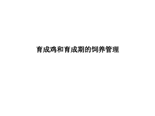 育成鸡和育成期的饲养管理