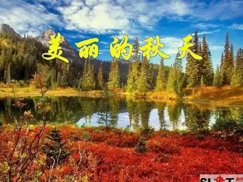 美丽的秋天