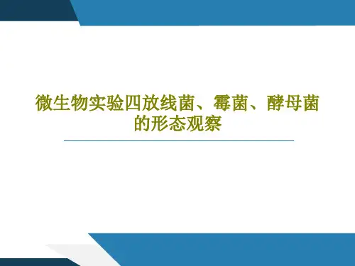 微生物实验四放线菌、霉菌、酵母菌的形态观察32页PPT