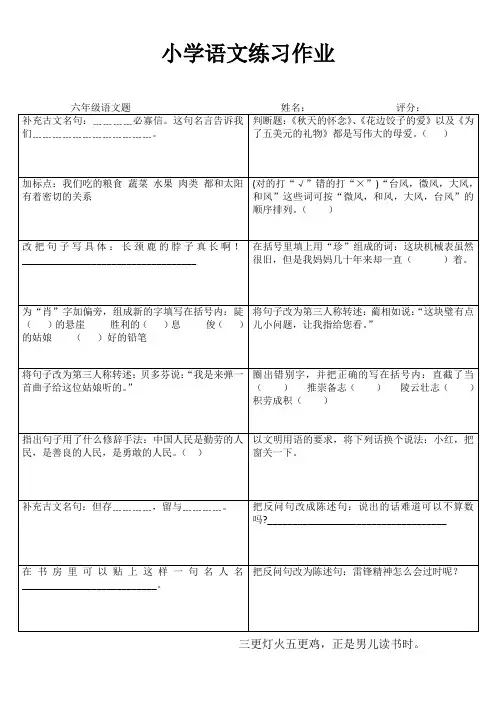 小学六年级语文冲刺复习训练 (47)