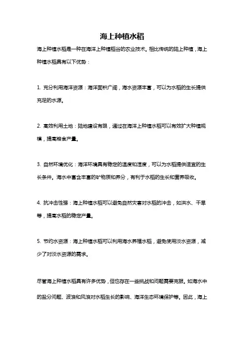 海上种植水稻