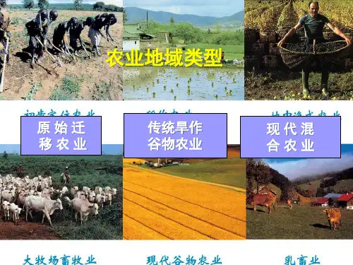 以种植业为主的农业地域类型