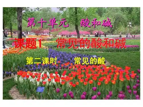 常见的酸和碱(第二课时)