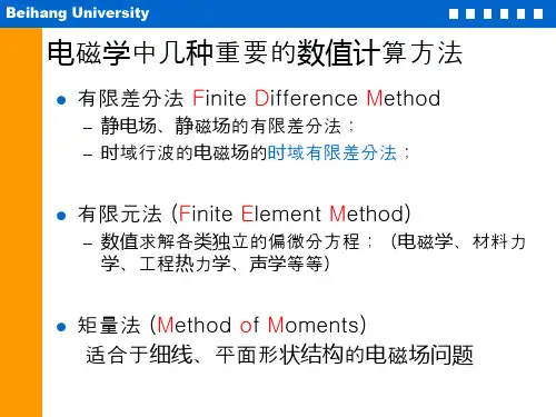时域有限差分方法林志立