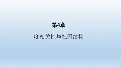 复杂网络(度相关性与社团结构)