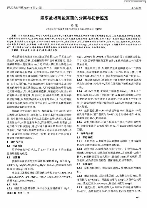 灌东盐场耐盐真菌的分离与初步鉴定