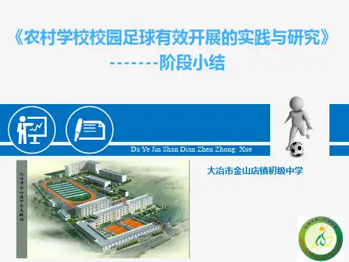 农村学校校园足球有效开展的实践与研究----阶段小结