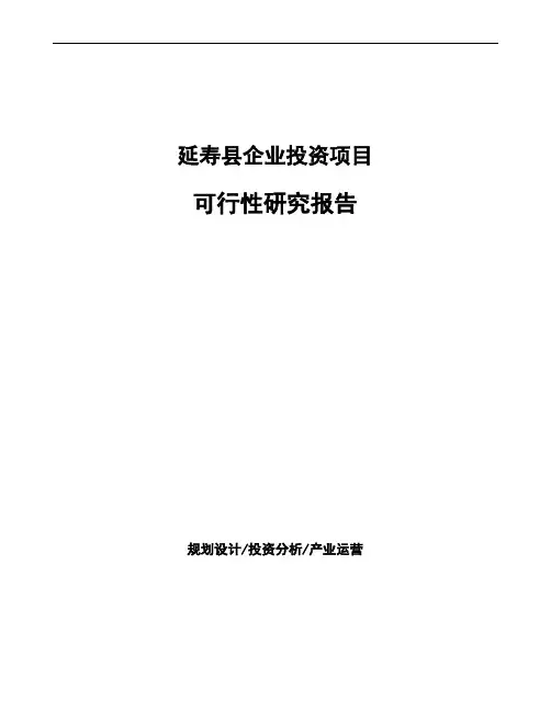 延寿县项目可行性研究报告