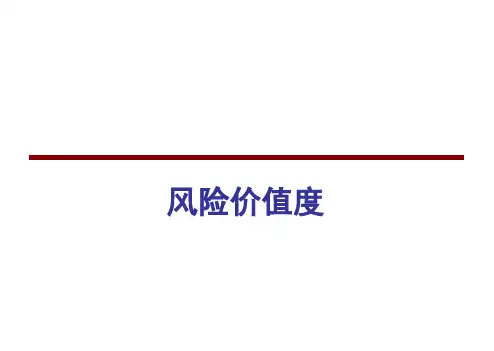 风险价值度
